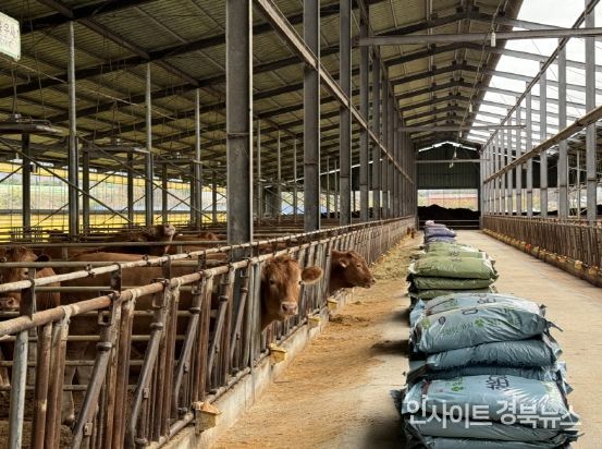 축산 농가 사진